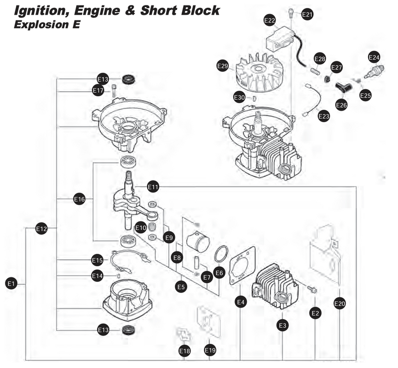 Engine Ignition and Short Block Assembly