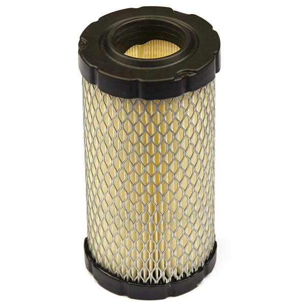 Briggs & Stratton 793569 Air FIlter