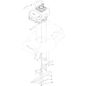 Engine Assembly