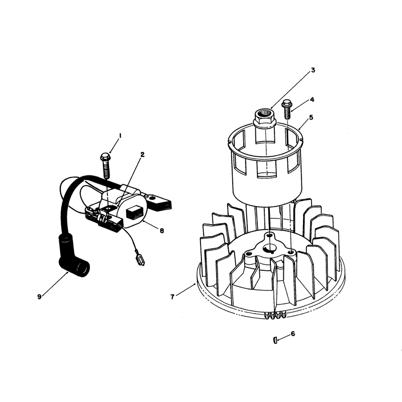 Magneto & Flywheel Assembly (engine Model No. Vmj8)