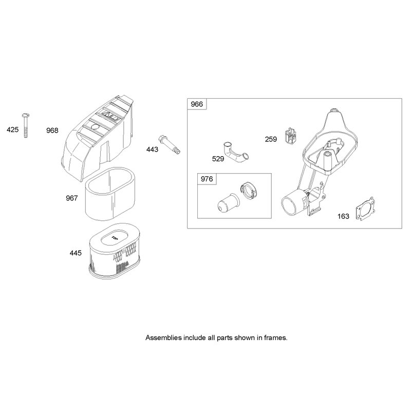 Air Cleaner Assembly Briggs and Stratton 122607-0116-E1