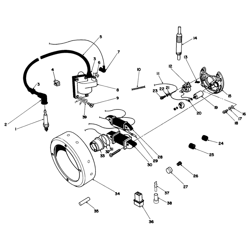 Magnetic Flywheel Assembly