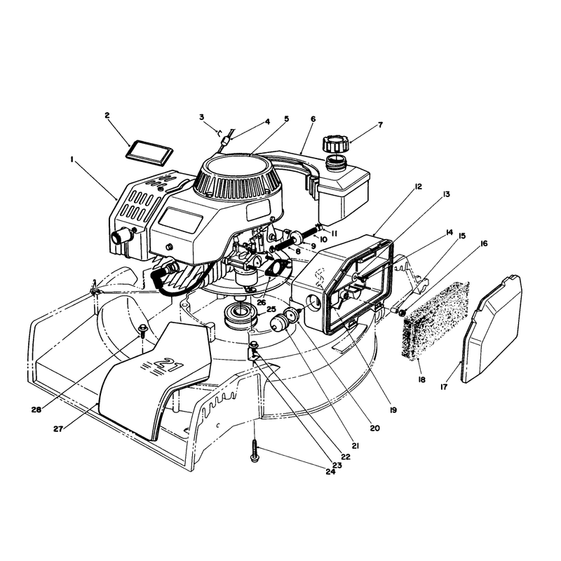 Engine Assembly