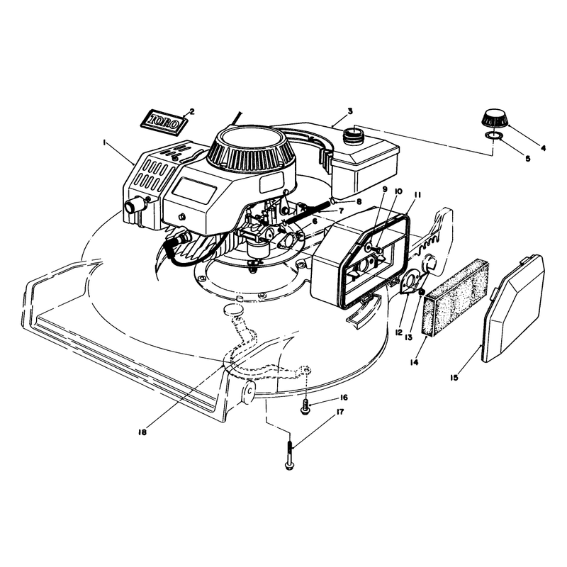 Engine Assembly