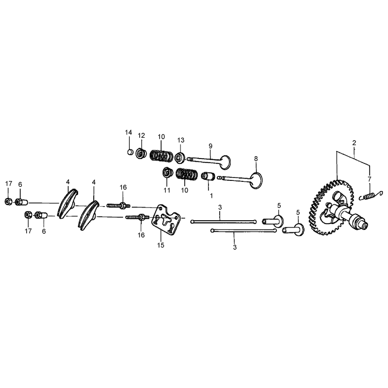 Camshaft Assembly Honda GX390K1QNE2
