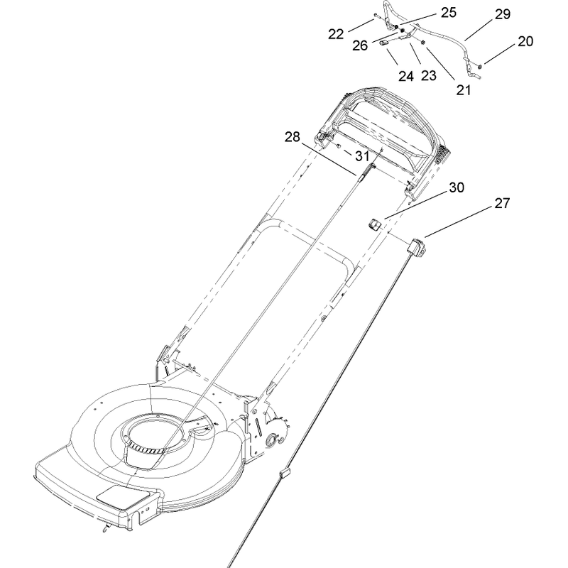 Handle and Switch Assembly