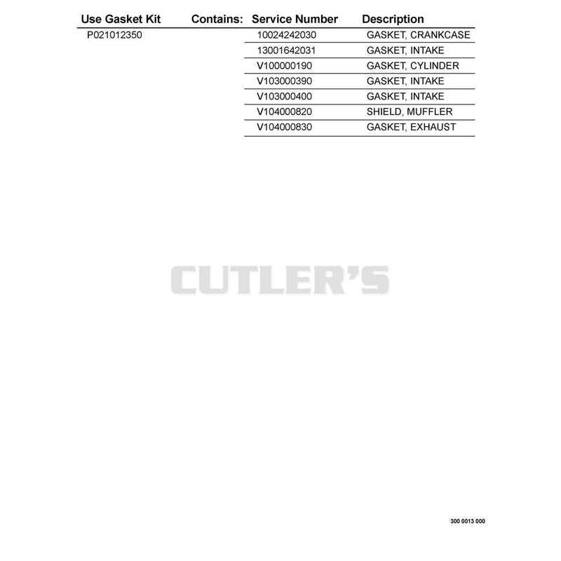 Gasket Kit -- P021012350