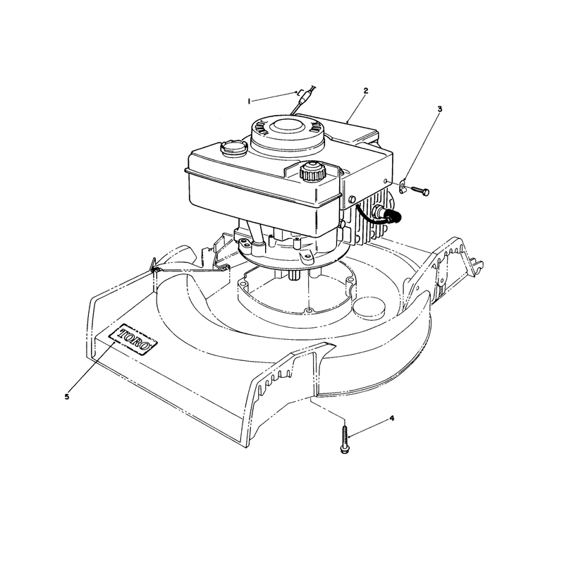Engine Assembly
