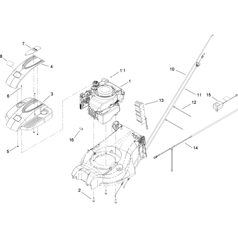 Engine Assembly