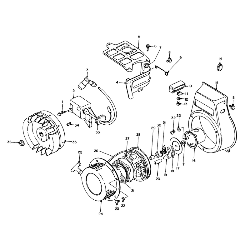 Rewind Starter and Magneto Assembly
