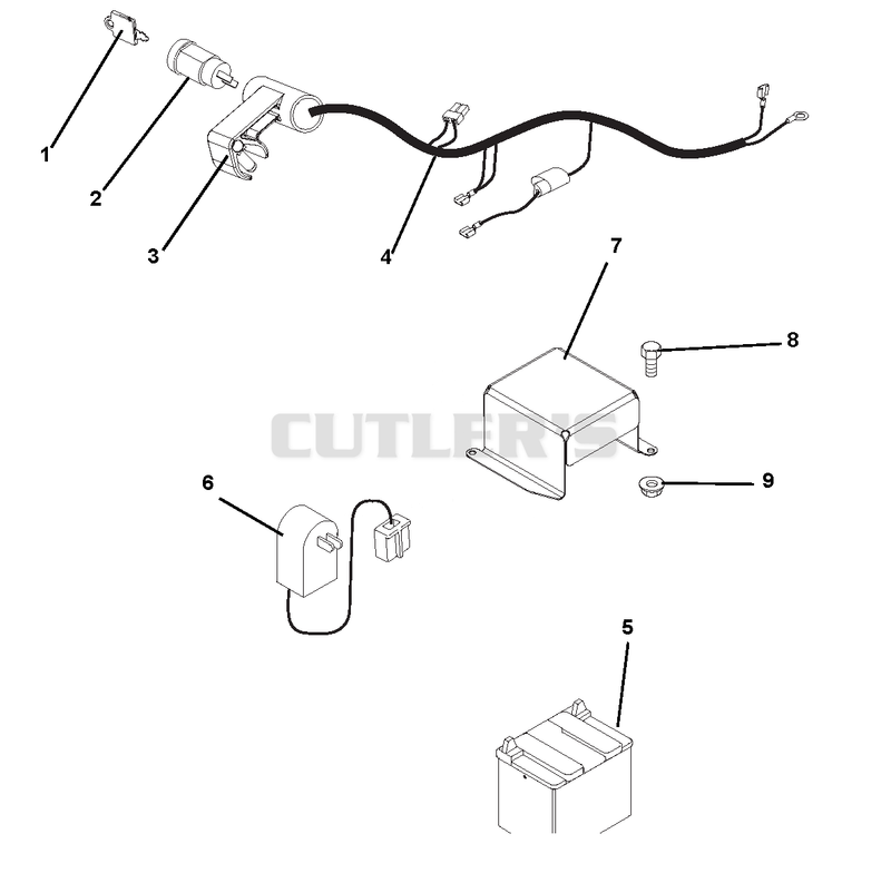 Electrical Harness And Battery
