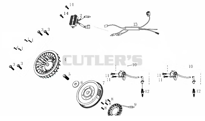 Flywheel / Coil Assy