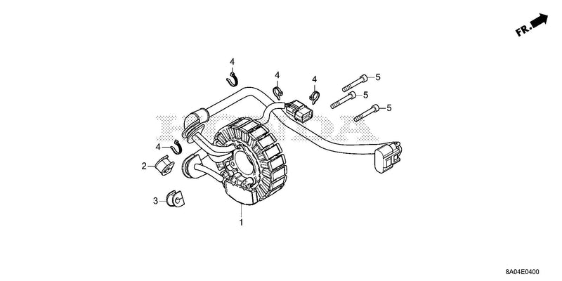 STATOR