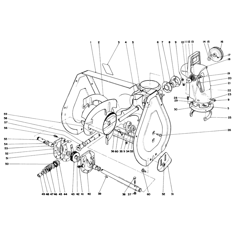 Auger Assembly