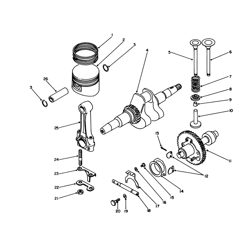 Crankshaft and Camshaft