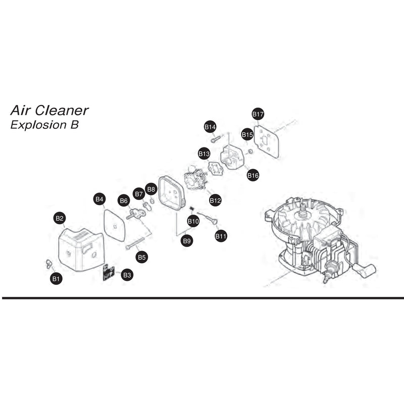 Air Cleaner