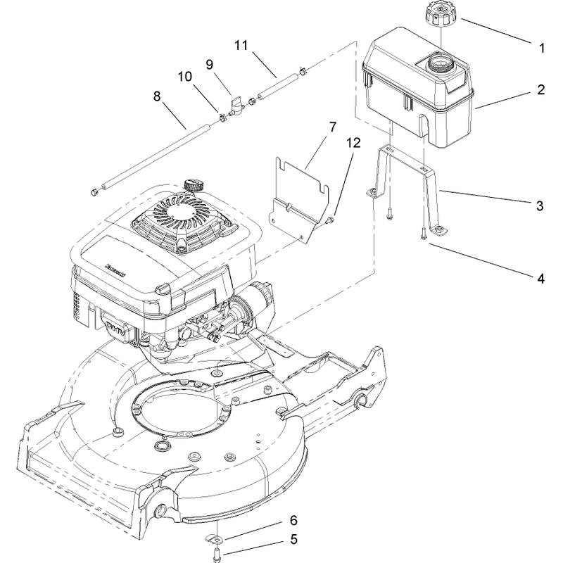 Fuel Line and Tank Assembly