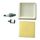 Echo 90181Y Tune-Up Kit for HCA-2620, PAS-2620, PE-2620, PPF-2620, PPT-2620, SHC-2620, SRM-2620, SRM-2620T and SRM-2620U