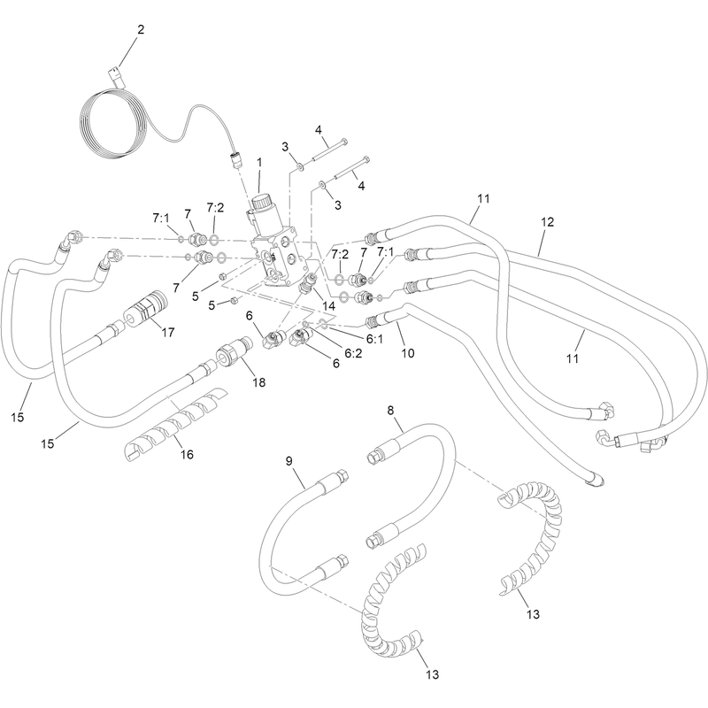 Hoses and Diverter Assembly