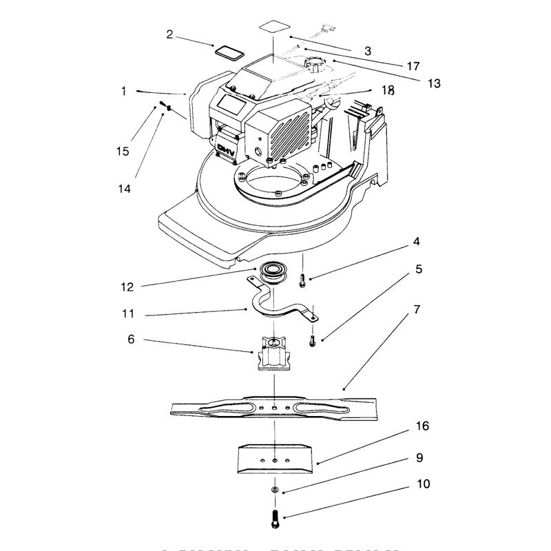 Engine Assembly