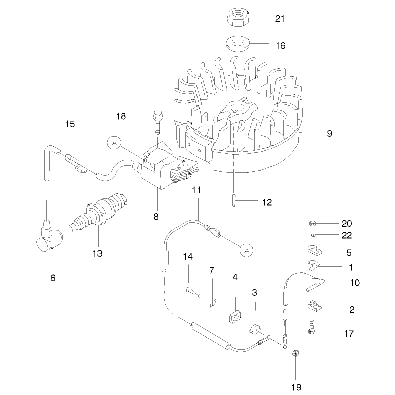 Flywheel and Ignition Assembly