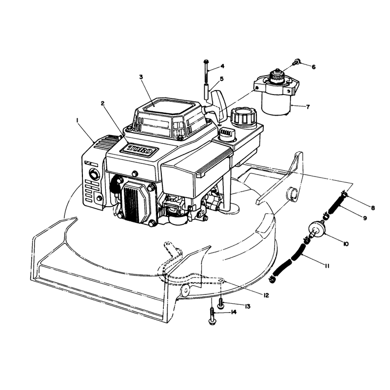 Engine Assembly