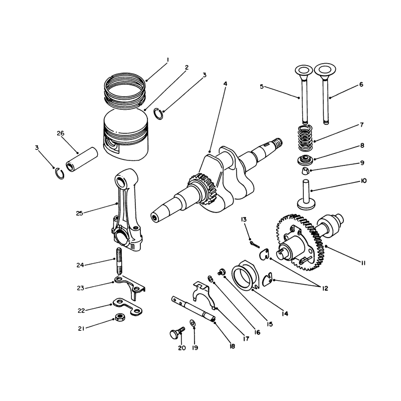 Crankshaft and Camshaft
