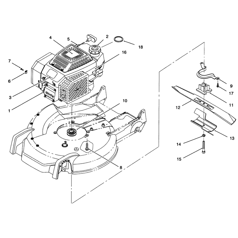 Engine Assembly