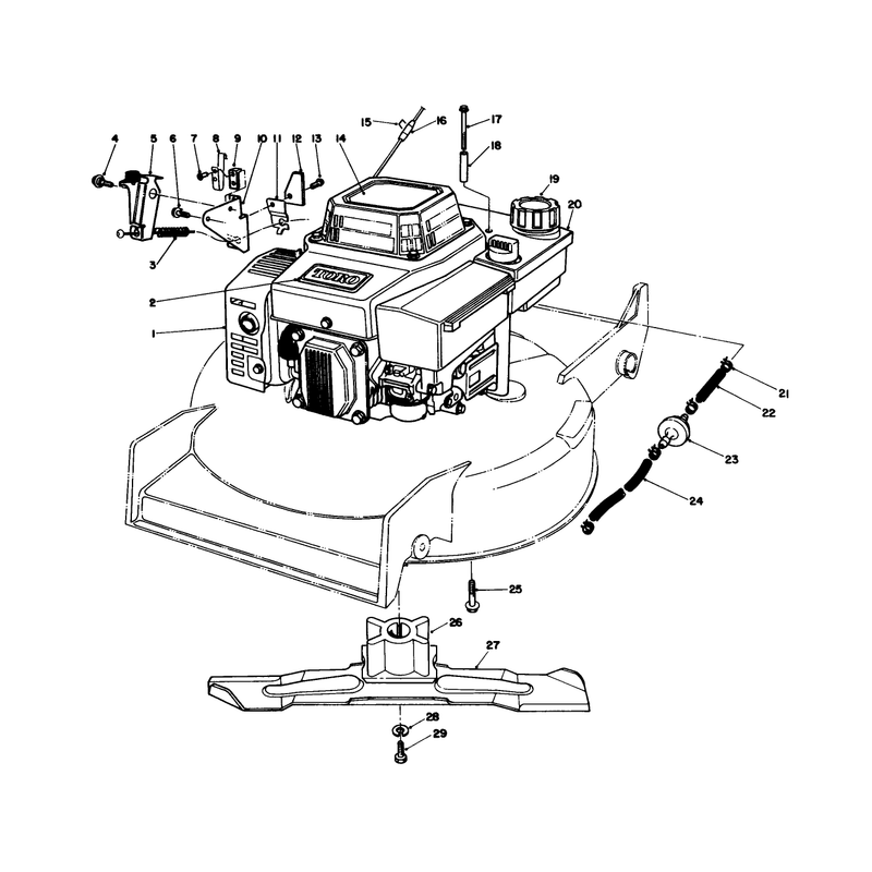 Engine Assembly