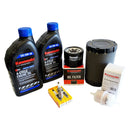 Kawasaki 99969-6674 Tune Up Kit 20W-50 for FT730V EFI Engines