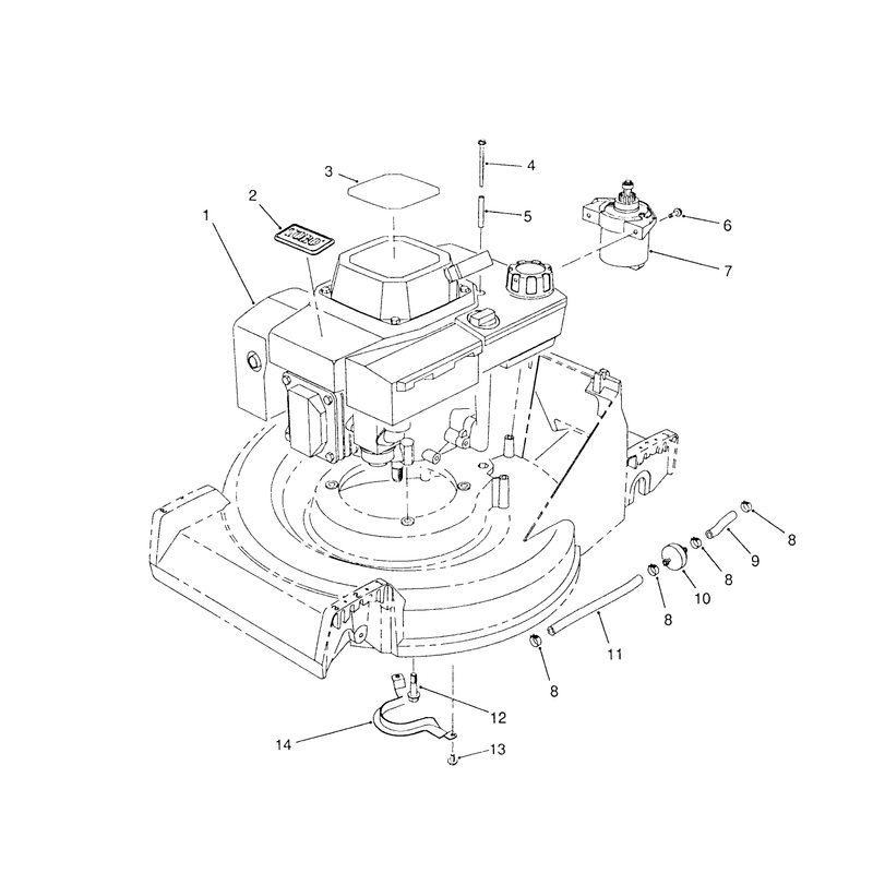 Engine Assembly