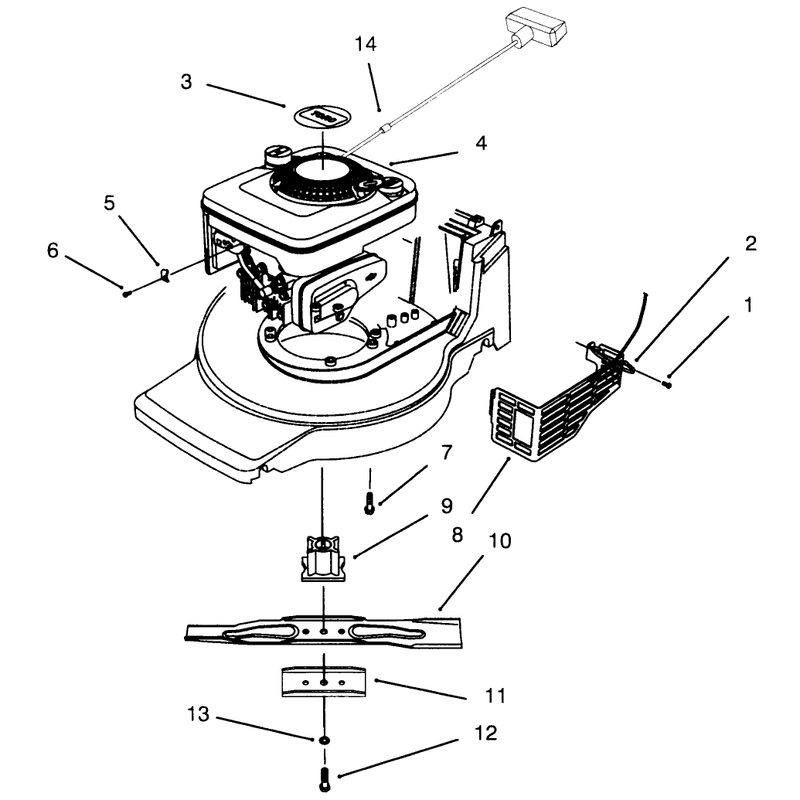 Engine Assembly