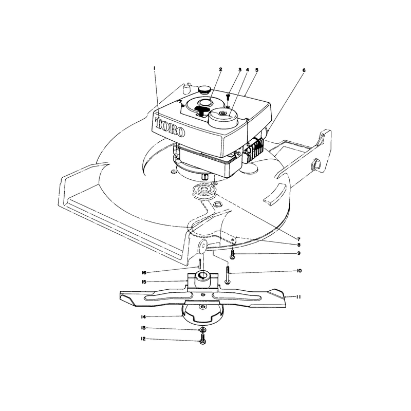 Engine Assembly