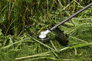 EGO Power+ BCX4500 Commercial Bike Handle Brush Cutter Tool Only