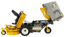 Walker c19