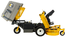 Walker c19