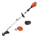 Echo DPAS-2600SBR2 Pro Attachment Series Powerhead with Trimmer Attachment, 5Ah Battery and Rapid Charger