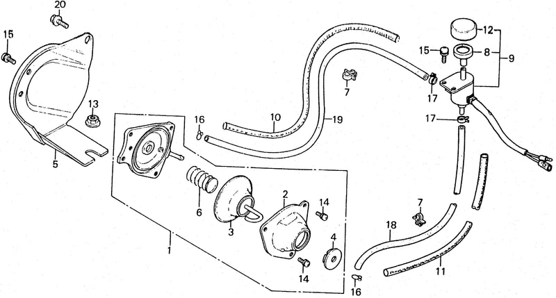 DIAPHRAGM