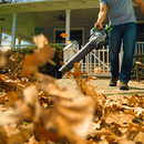 EGO LB5800 580CFM Handheld Blower (Battery and Charger Not Included)