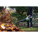 EGO Power+ LB6500-FC 180 MPH, 600 CFM Variable-Speed 56-Volt Cordless Backpack Leaf Blower (Battery and Charger Not Included) - Reconditioned