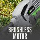 EGO Power+ MPS1001-FC 10" Pole Saw & Power Head Multi-Head Tool  Kit with 2.5Ah Battery & Charger - Reconditioned