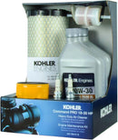 Kohler 25 789 01-S Maintenance Kit