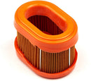 Briggs & Stratton 790166 Air Filter