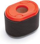 Briggs & Stratton 796970 Air Filter