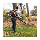 ECHO PB-580T 216MPH 517CFM 58.2 CC Backpack Leaf Blower with Tube Mounted Throttle