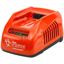 ECHO DPAS-2600R2 Pro Attachment Series Power Head with 5Ah Battery and Rapid Charger