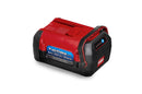 Toro 60V MAX* Flex-Force 10 Ah Li-Ion Battery (66810)