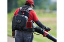 Toro 60V MAX* Revolution Backpack (66000T)