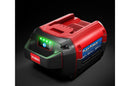 Toro 60V MAX* 6.0 Ah 324 WH Li-Ion Battery (88660)