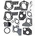 Briggs & Stratton 495606 Carburetor Overhaul Repair Kit
